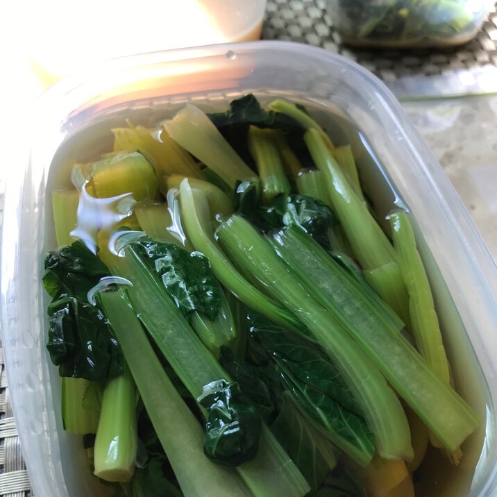 常備菜 麺つゆで小松菜のお浸し レシピ 作り方 By You花凛 楽天レシピ 常備菜 麺つゆで小松菜のお浸し レシピ 作り方 By You花凛 楽天レシピ